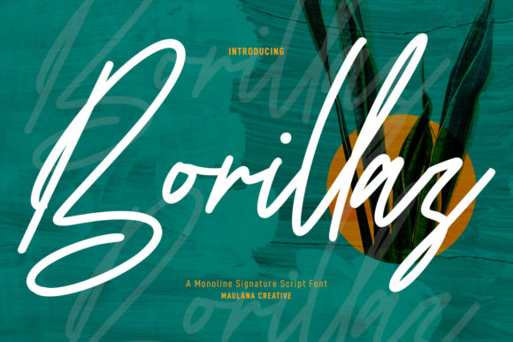Borillaz Script: A Designer’s Journey Using a Charming Handwritten Font for Real Branding Projects