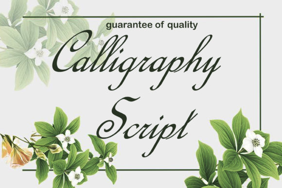 Calligraphy Script: A Graceful Typeface for Elegant Branding Projects