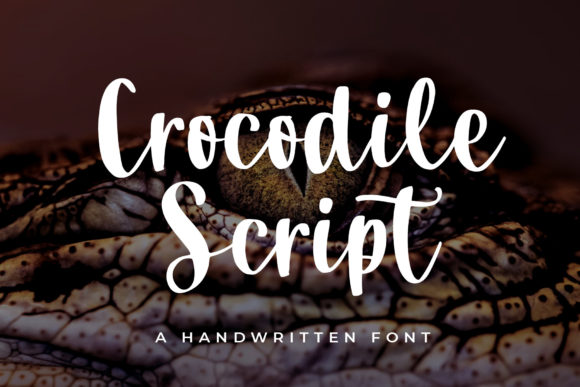 Crocodile Script: A Designer’s Honest Review for Real-World Use
