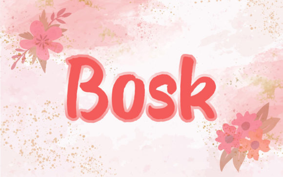 How Bosk Font Brought Warmth and Creativity to a Branding Project