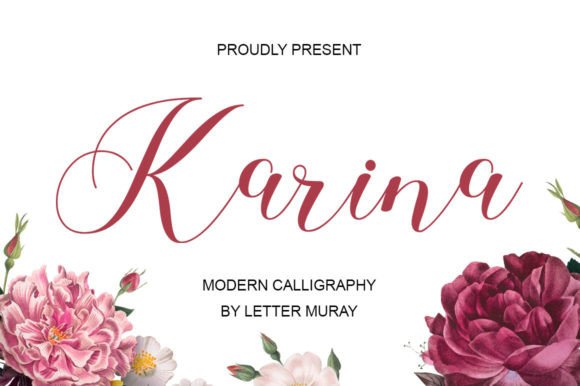 How Choosing the Karina Font Gave My Small Business a Polished, Professional Look