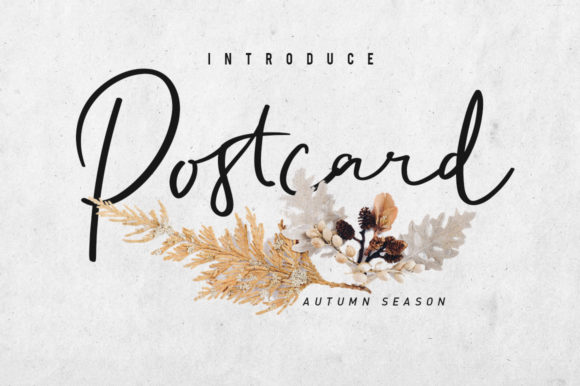 How Postcart Script Elevates Campaign Typography with Elegance and Clarity