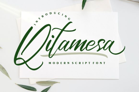 Qitamesa Script Font: Elevate Your Brand with Modern Calligraphy