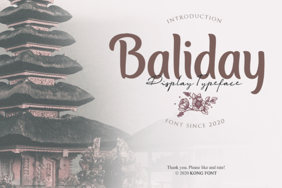 Why Baliday Is the Handwritten Font Your Campaigns Need